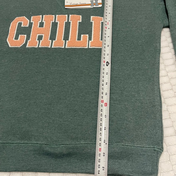 NWT Vintage Havanna CHILL Sweatshirt - L/14 / sage colors - Picture 6 of 12